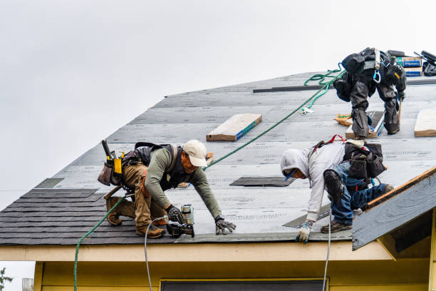 Professional Storm Damage Roof Repair technician working in Laura, OH